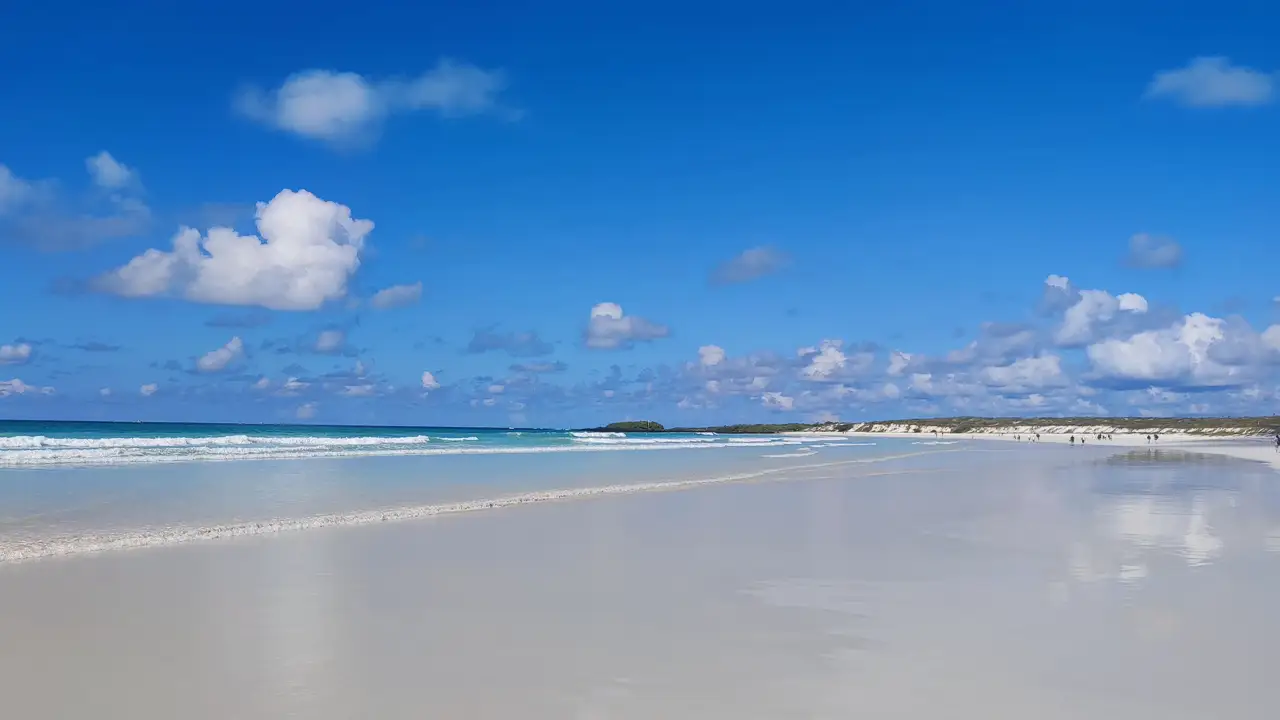 Lee más sobre el artículo ¿Cómo es el clima de las Islas Galápagos?