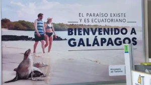 Lee más sobre el artículo ¿Cuántos aeropuertos hay en las Islas Galápagos?