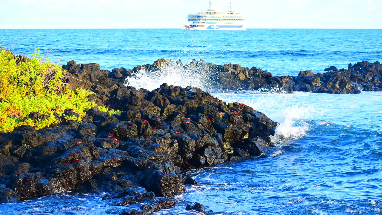 Lee más sobre el artículo Se incrementa el costo de ingreso a las Islas Galápagos