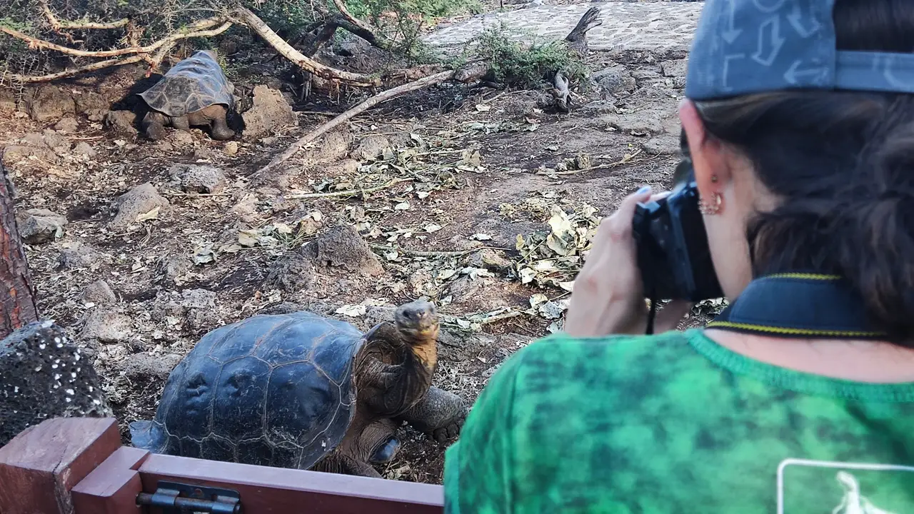 Lee más sobre el artículo Islas Galápagos: Un Paraíso Natural para Explorar y Conservar