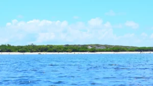 Lee más sobre el artículo Las Islas Galápagos Encabezan el Ranking de Destinos Imperdibles del Mundo